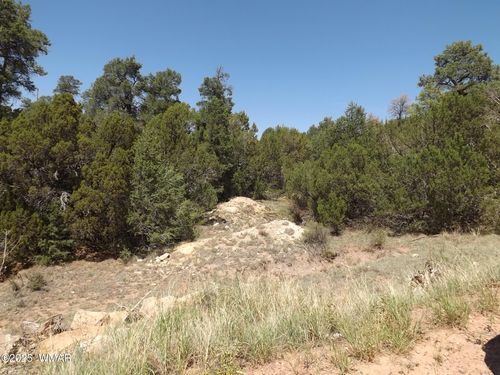3500/3506 Evergreen Drive, Overgaard, AZ, 85933 | Card Image