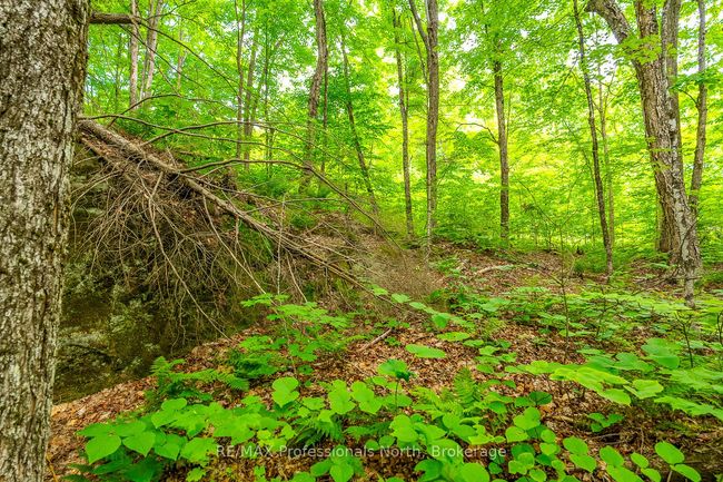 0 Prestige Crt, Home with 0 bedrooms, 0 bathrooms and null parking in Haliburton ON | Image 7