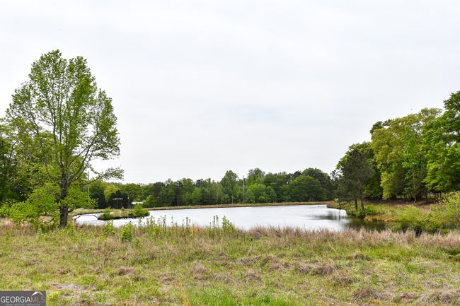 387 Fredonia Church Rd, Home with 3 bedrooms, 2 bathrooms and 2 parking in BARNESVILLE GA | Image 37