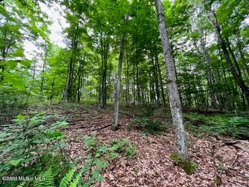 lot-1-L 67.1 Mcgregor Rd, Gloversville, NY, 12078 | Card Image