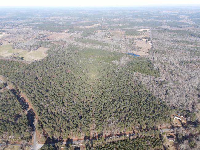 DJI_0870 | Image 4