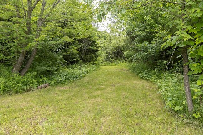 View of grassy yard featuring a wooded view | Image 11