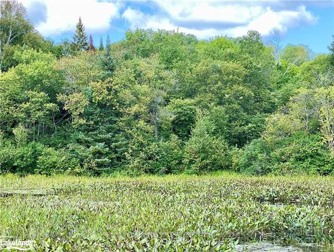 22-A Maple Dr, Home with 0 bedrooms, 0 bathrooms and null parking in Loring ON | Image 24