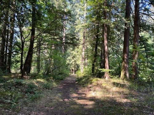 15-19743 Foster Rd, Hope, BC, V0X1L2 | Card Image