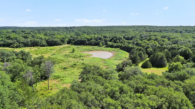 1052 Bones Chapel Rd, Home with 0 bedrooms, 0 bathrooms and null parking in Whitesboro TX | Image 23