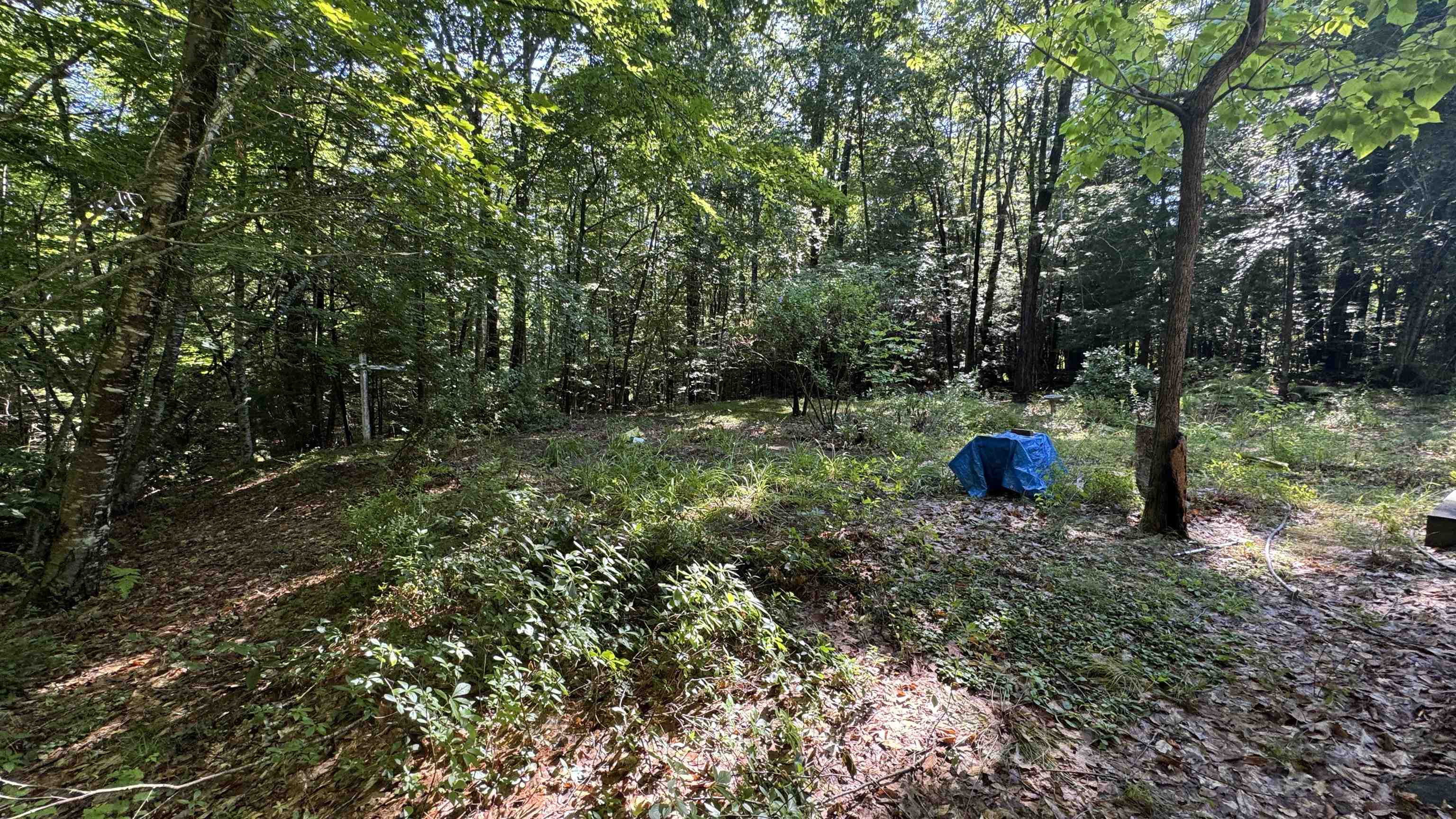 Land in New Durham 5