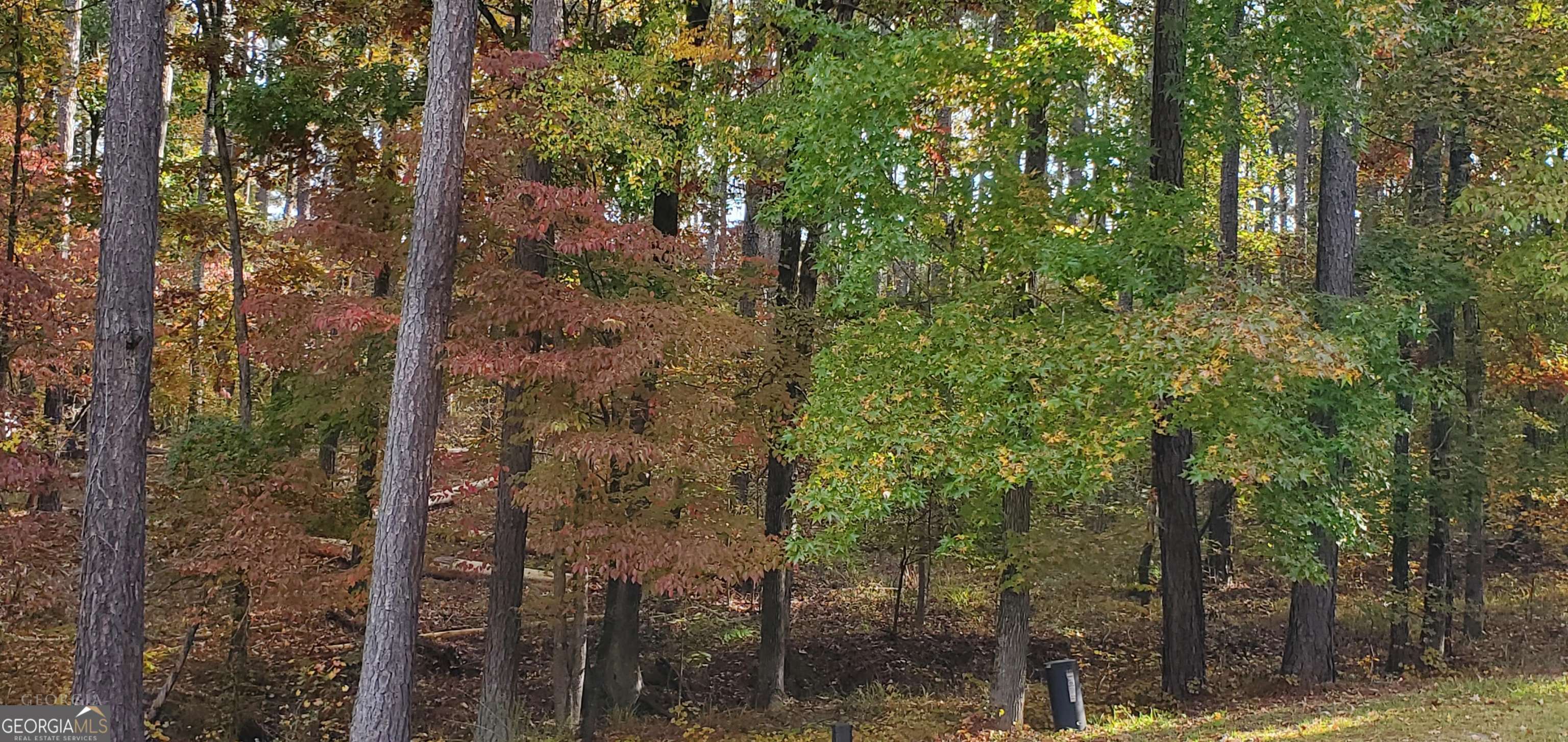 Land in Greensboro 5