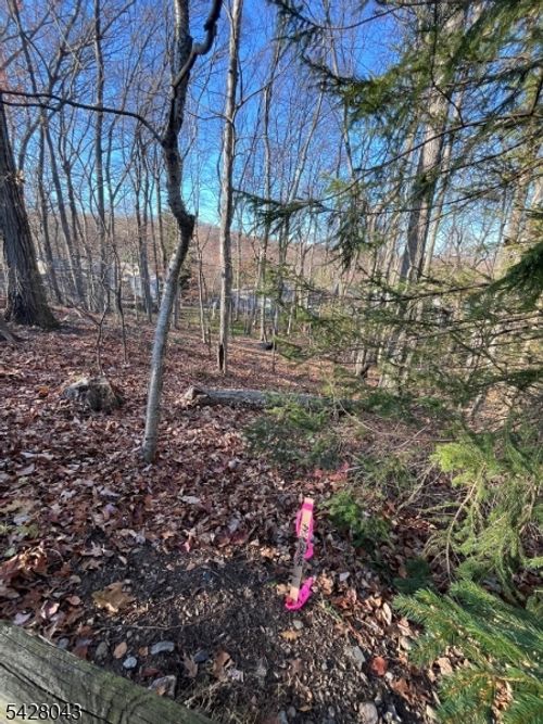 22 Mountain Rd, Denville, NJ, 07834-1007 | Card Image