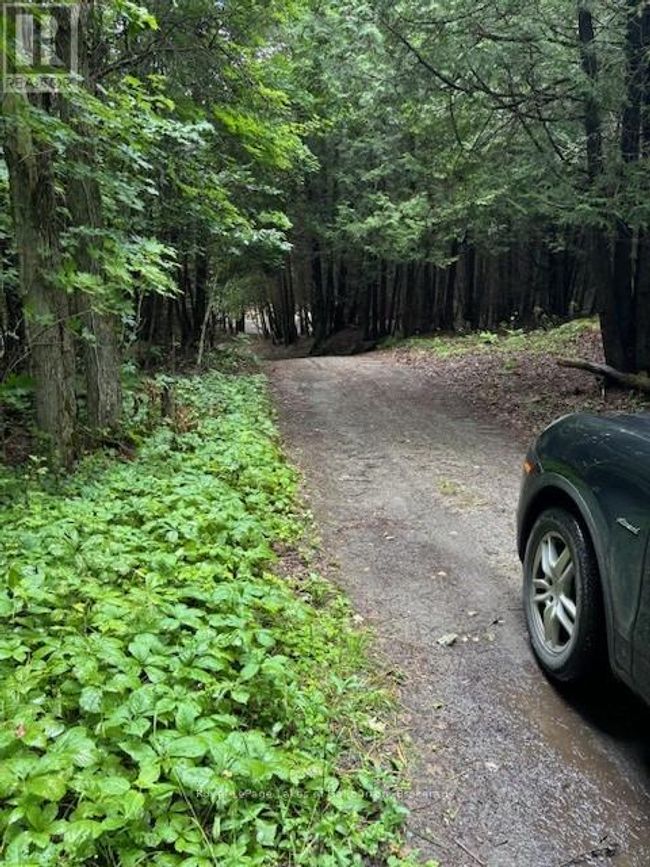 Lot 70 25th Line, Home with 0 bedrooms, 0 bathrooms and null parking in Algonquin Highlands (Stanhope) ON | Image 4