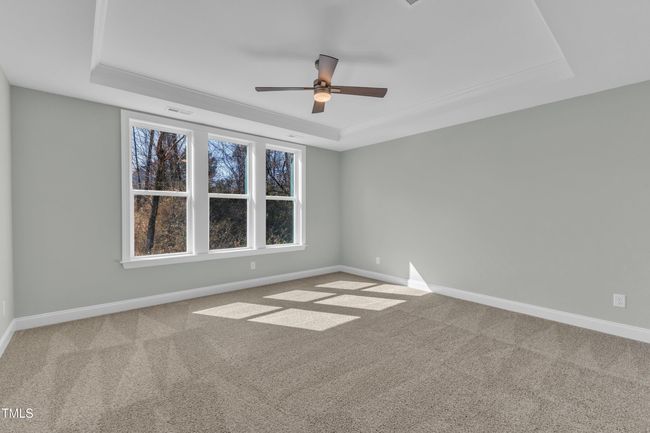 29-3109 Petrea-33 | Image 28