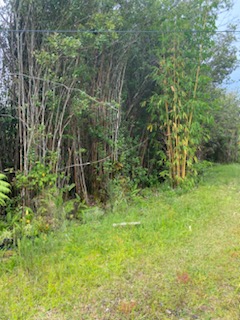 Land in Kurtistown 4