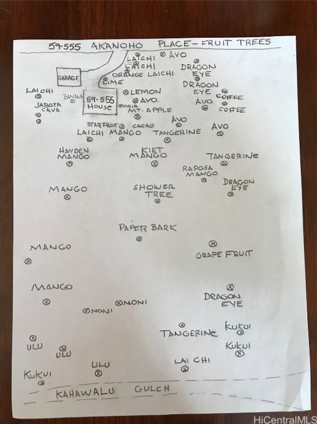 map of fruit trees on property | Image 18