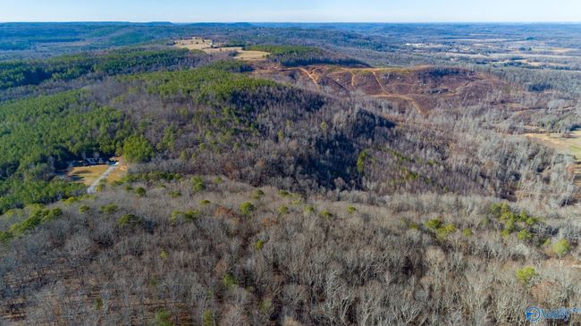 80 acres Rock Creek Rd, Home with 0 bedrooms, 0 bathrooms and null parking in Eva AL | Image 24