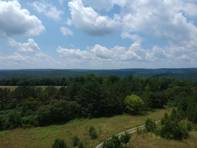 5199 Burkett Chapel Rd, Home with 4 bedrooms, 2 bathrooms and null parking in Whitwell TN | Image 12