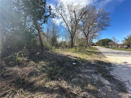 TBD Willow St, North Zulch, TX, 77872 | Card Image