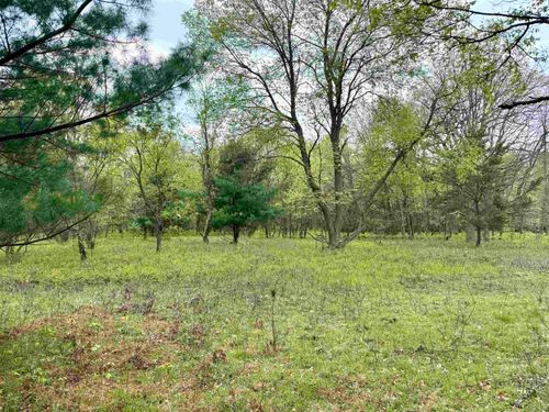 Parcel D Rosted Road, Lake Township, MI, 49651 | Card Image