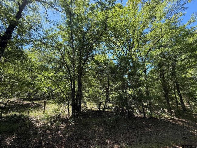 72 Acres N Farm Road 900, Home with 0 bedrooms, 0 bathrooms and null parking in Saltillo TX | Image 32
