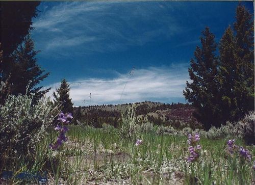 TBD Lookout Trail, Ramsay, MT, 59701 | Card Image