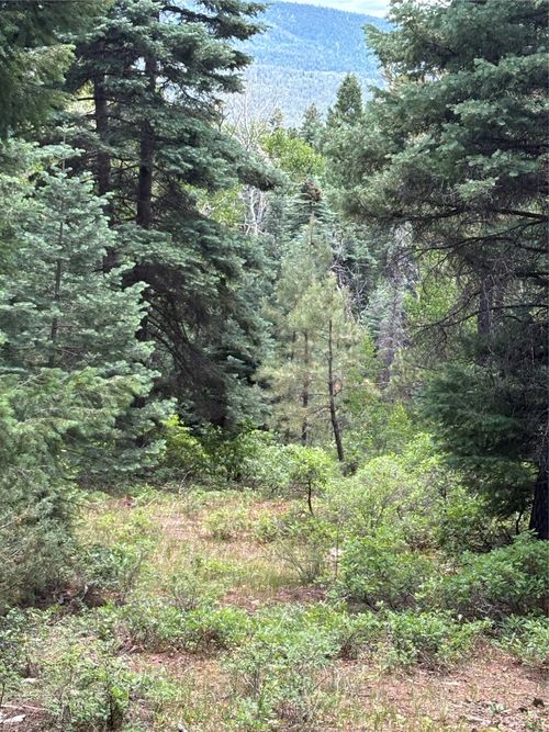 TBD Spruce Trail Lot 2, Chama, NM, 87520 | Card Image