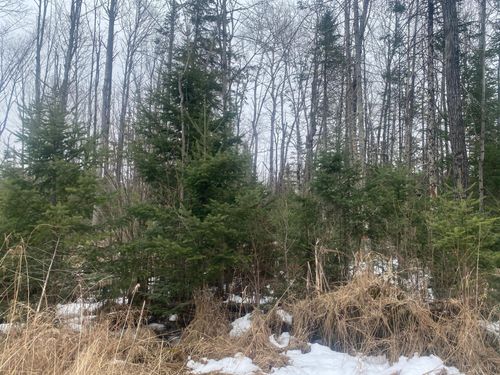 ON State Highway 64, Merrill, WI, 54452 | Card Image