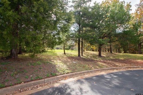 128 Lake Lou Ella Dr, Bullard, TX, 75757-5499 | Card Image