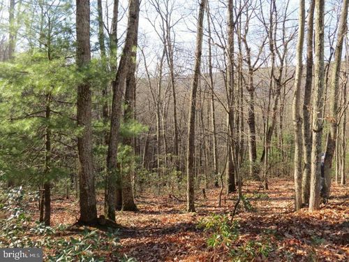 12 Cedcarwood, MATHIAS, WV, 26812 | Card Image
