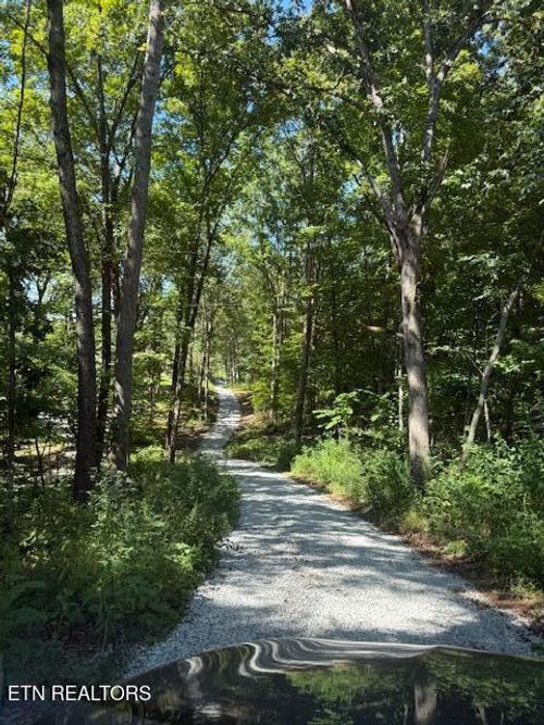11150 Blackberry Forest Way, Knoxville, TN, 37931-2353 | Card Image