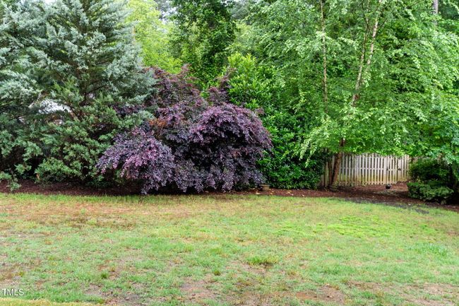 102-web-or-mls-1101-temple-st | Image 68