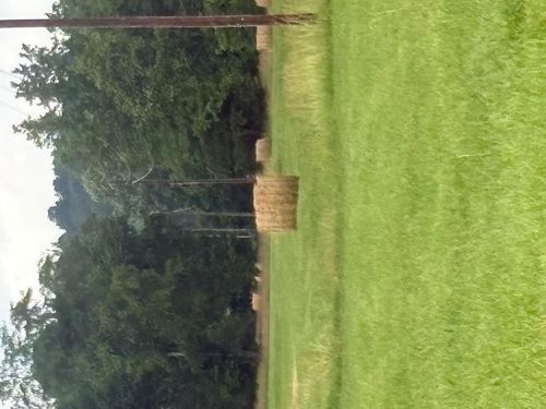 107 Hall Cemetery Rd, Cadiz, KY, 42211-8998 | Card Image