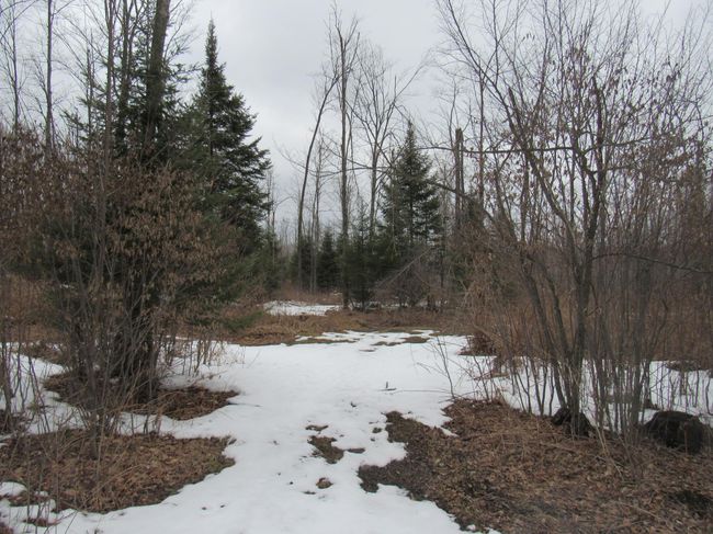 8390 Keith Siding Rd, House other with 4 bedrooms, 2 bathrooms and 3 parking in CRANDON WI | Image 50