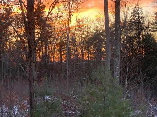 232 Wild Acres Rd, Belmont, NH, 03220-3667 | Card Image