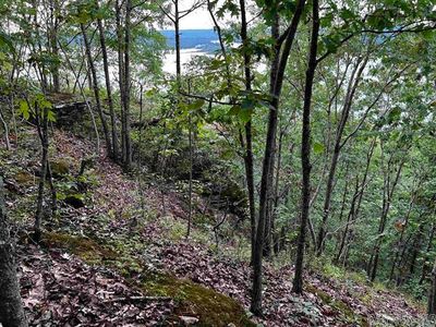 Lot 39 Bluff View Dr, Home with 0 bedrooms, 0 bathrooms and null parking in Quitman AR | Image 1