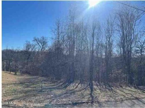 1167 Cherry Blossom Ln, Talbott, TN, 37877-9077 | Card Image