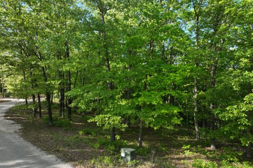 Lot 8 Buckskin Ridge Rd, Highlandville, MO, 65669 | Card Image