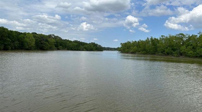 5 Thornton 1 Rd, Home with 0 bedrooms, 0 bathrooms and null parking in Trinity TX | Image 6