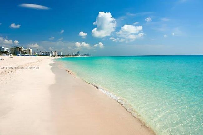 1115 - 1115 Meridian Ave, Condo with 1 bedrooms, 1 bathrooms and null parking in Miami Beach FL | Image 14