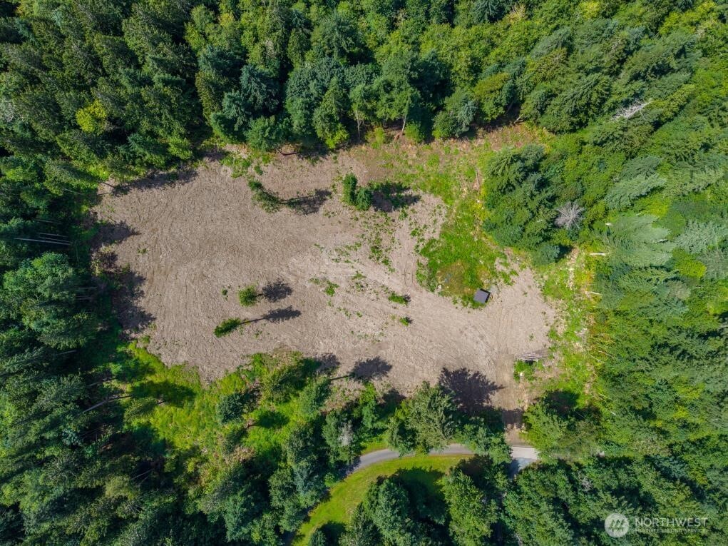Land in Maple Falls 4