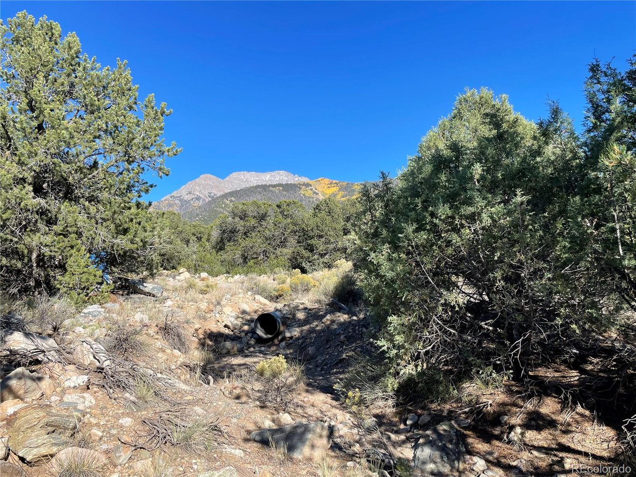 Land in Crestone 3