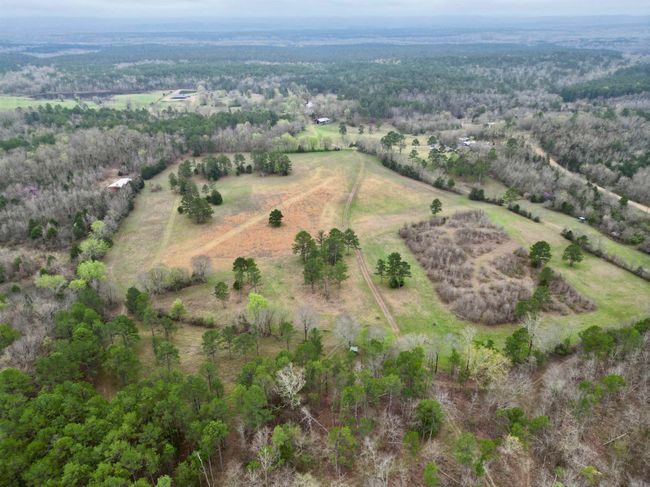 33 Collins Field Rd, Home with 3 bedrooms, 2 bathrooms and null parking in Mount Ida AR | Image 44