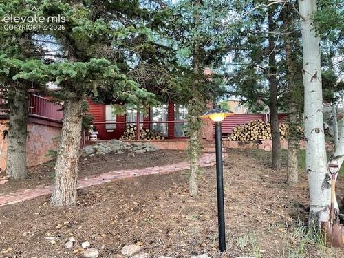 30 Brook Dr, LAKE GEORGE, CO, 80827 | Card Image