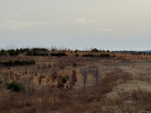 0 Kiddie Rd, Lynnville, IN, 47619 | Card Image