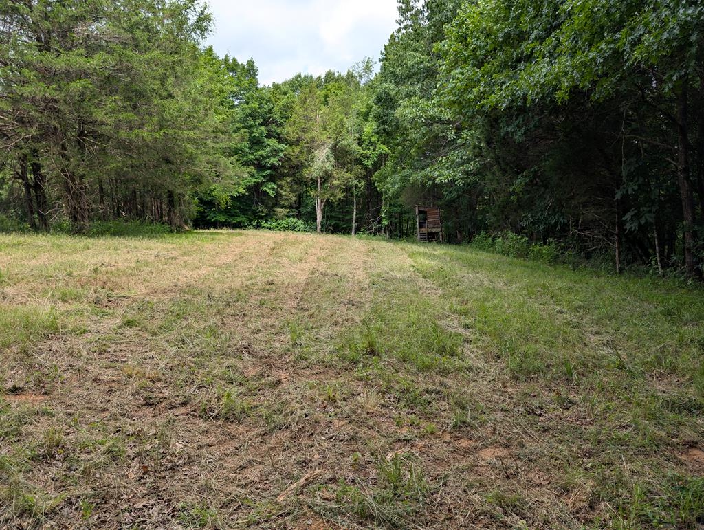 Land in Burkesville