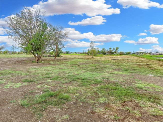 View of yard with a rural view | Image 8
