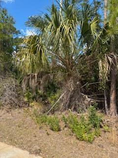 Land in North Port 4