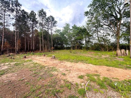 215 County Road 4205, Naples, TX, 75568-5535 | Card Image