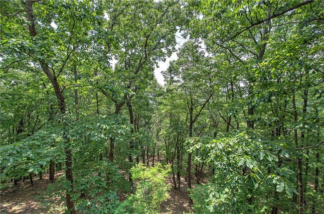 572 Cutthroat Rdg, House other with 3 bedrooms, 4 bathrooms and null parking in Jasper GA | Image 52