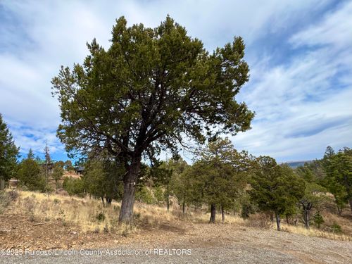 107 Abbey Pl, Ruidoso, NM, 88345 | Card Image