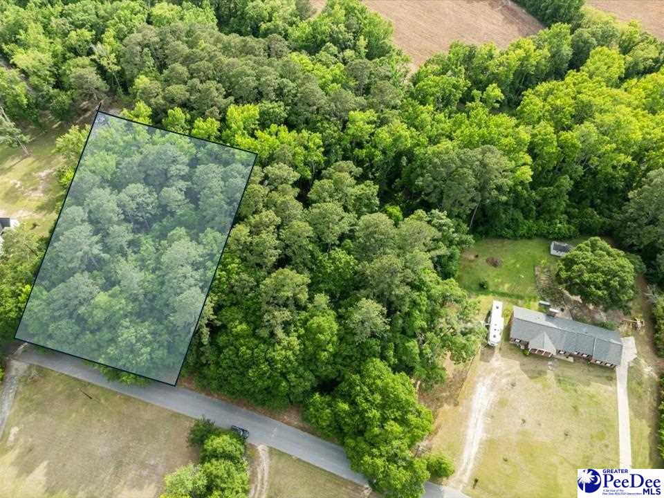 Land in Florence