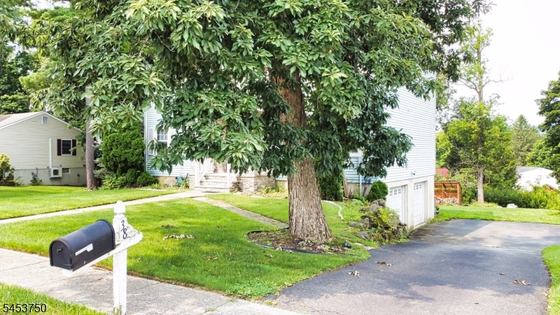 Residential in Newton Town 4