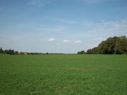 1 Wilson Dr, Allenton, WI, 53002 | Card Image
